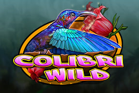 Colibri Wild