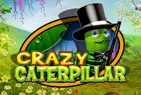 Crazy Caterpillar
