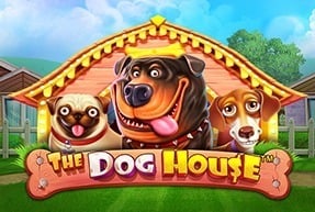 dog house казино