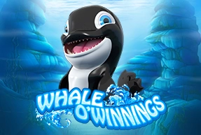 Whale O'Winnings